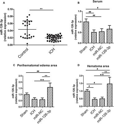 MicroRNA-126-3p Attenuates Intracerebral Hemorrhage-Induced Blood-Brain Barrier Disruption by Regulating VCAM-1 Expression